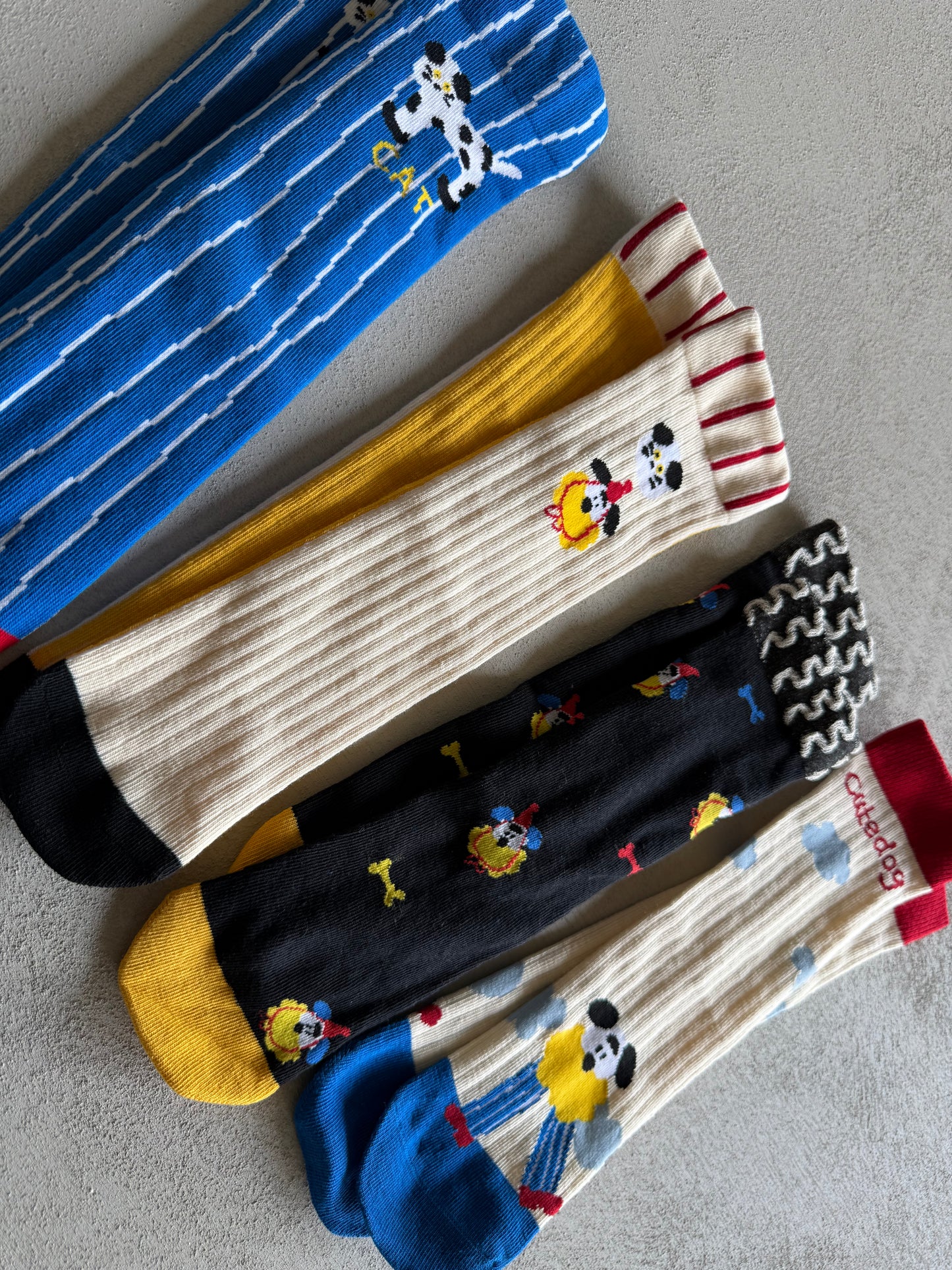
                  
                    dogcat socks 4set
                  
                
