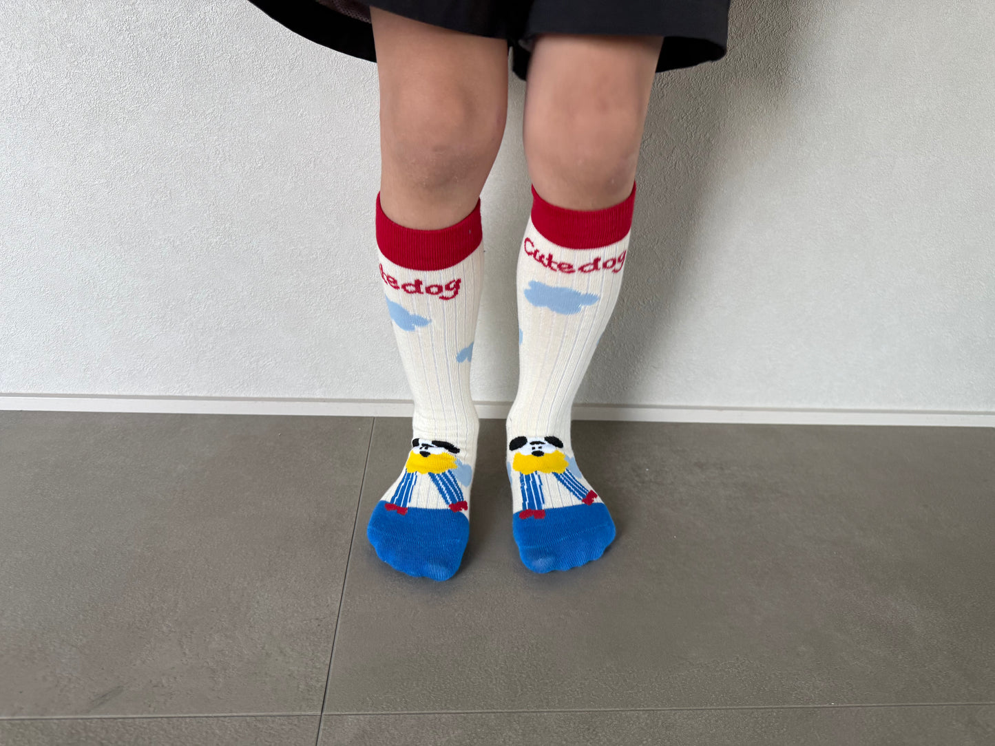 
                  
                    dogcat socks 4set
                  
                