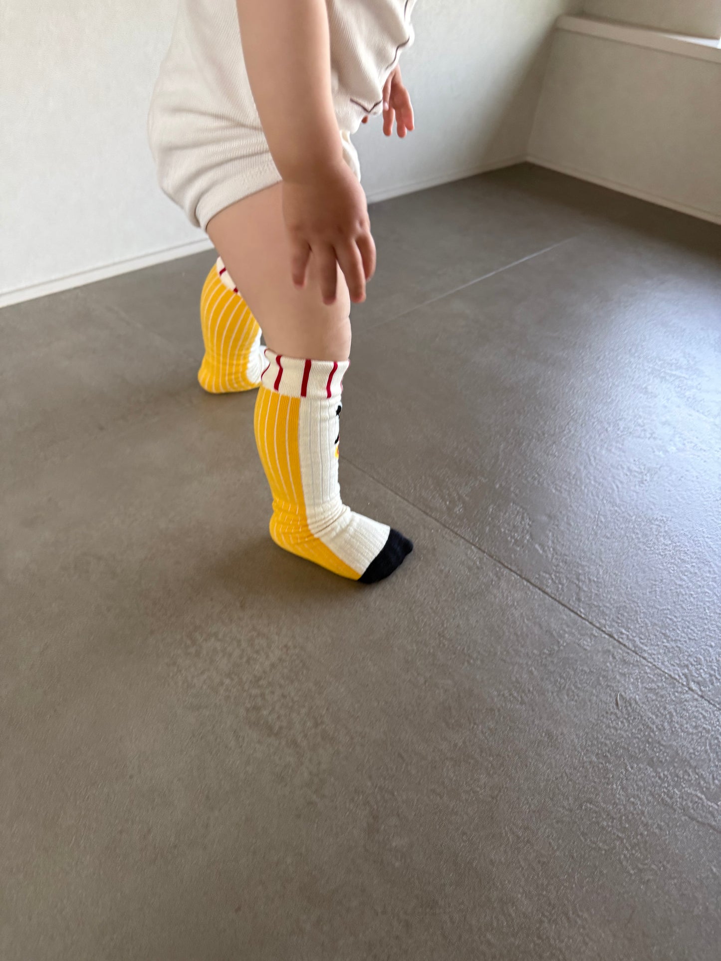 
                  
                    dogcat socks 4set
                  
                