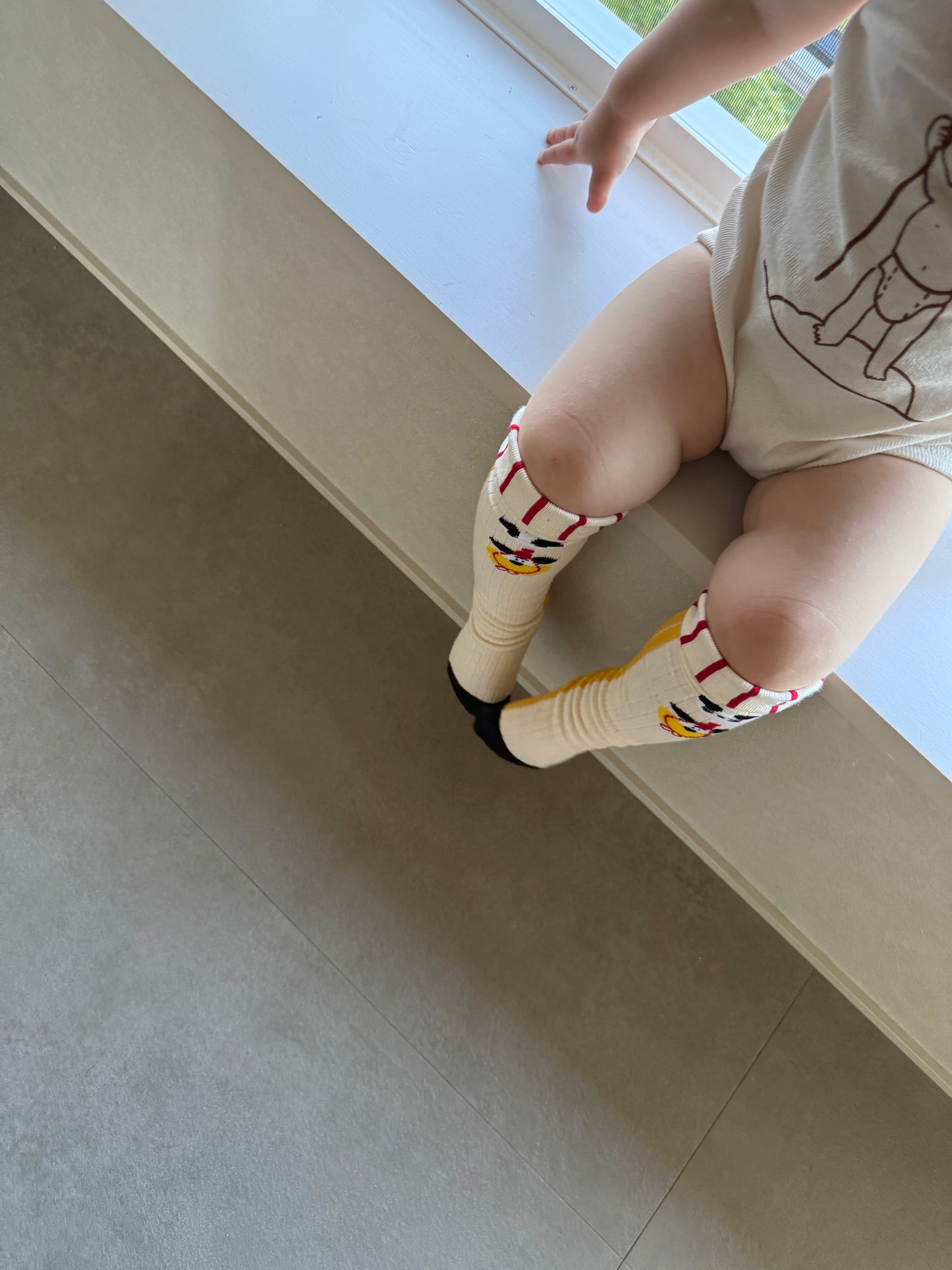 
                  
                    dogcat socks 4set
                  
                