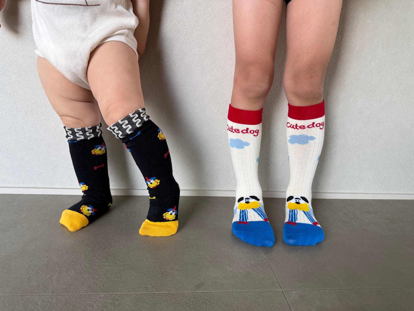 
                  
                    dogcat socks 4set
                  
                