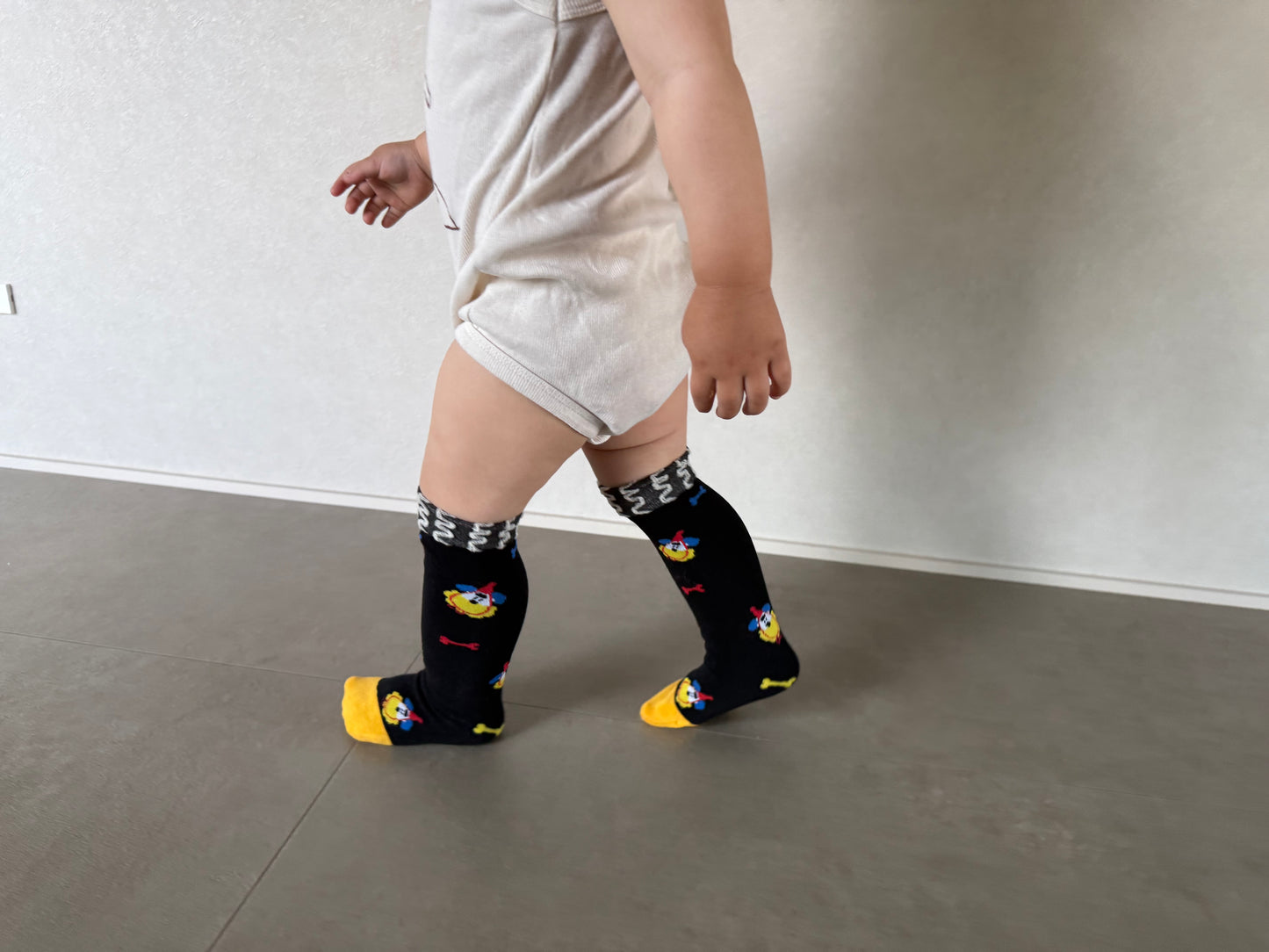 
                  
                    dogcat socks 4set
                  
                