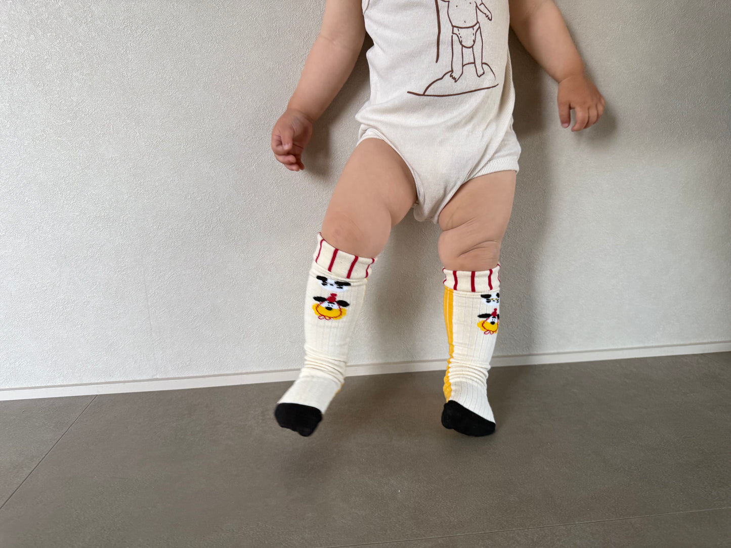 
                  
                    dogcat socks 4set
                  
                