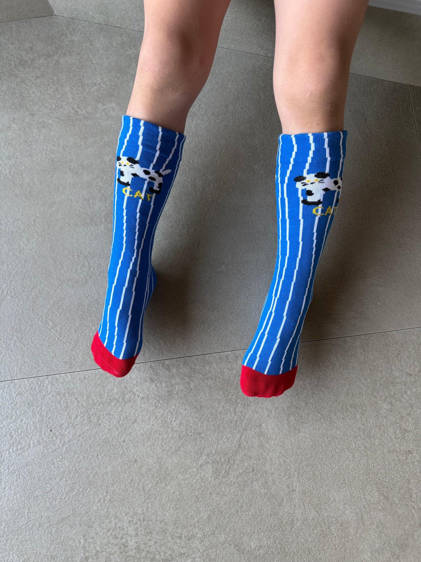 
                  
                    dogcat socks 4set
                  
                