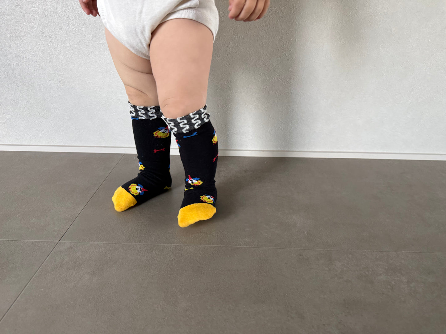 
                  
                    dogcat socks 4set
                  
                