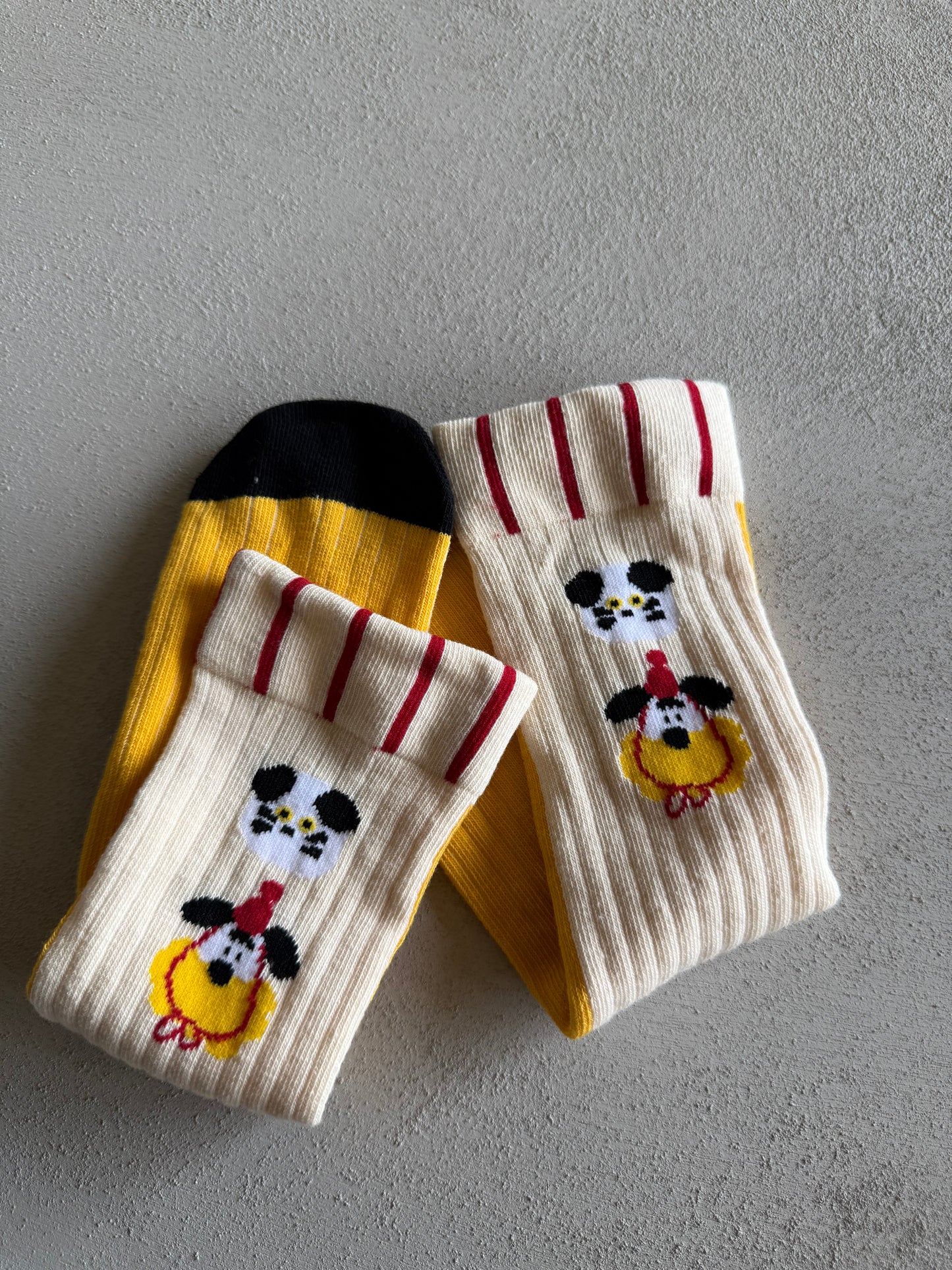 
                  
                    dogcat socks 4set
                  
                